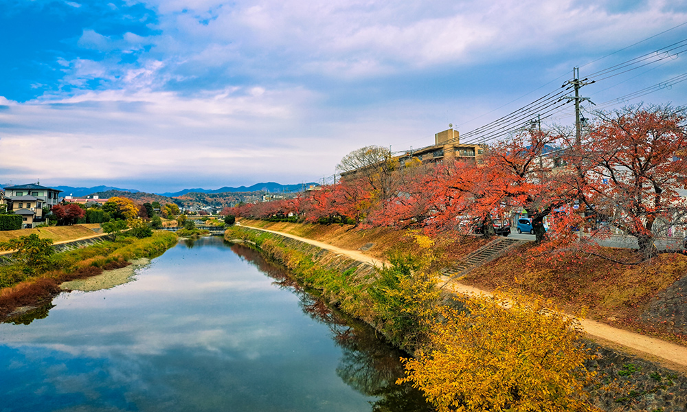 高野川